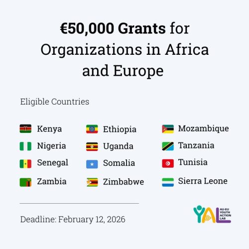 AU–EU Youth Action Lab Cooperation Grants: €50,000 Funding Opportunity for Nonprofits Across Africa & Europe