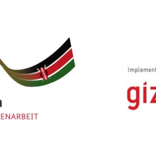 10 Exciting Job Opportunities at GIZ Kenya – Apply Now
