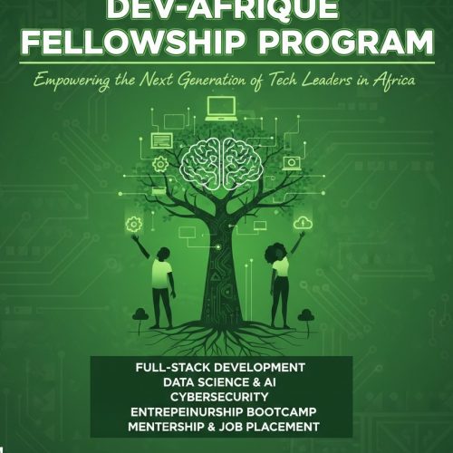 Digital Communications Fellowship in Nigeria: Apply for the Dev-Afrique Fellowship Program